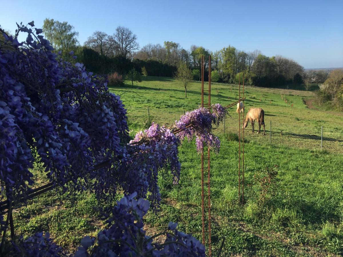 Domaine De Galland-Dast Cambes  ภายนอก รูปภาพ
